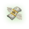 Money Icon